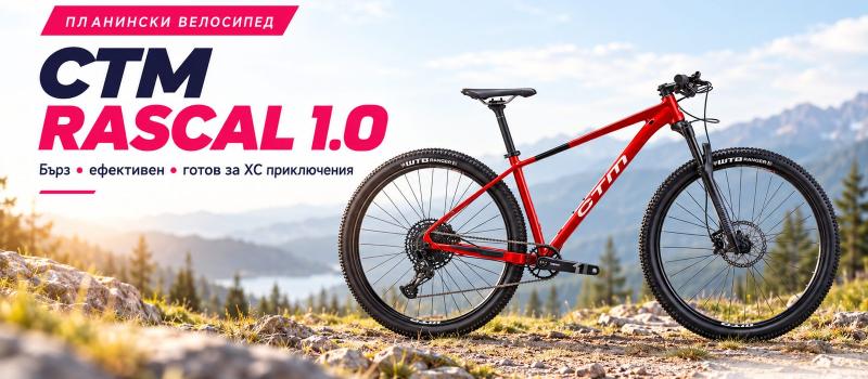 CTM RASCAL 1.0 29 – XC хардтейл с RockShox и SRAM Eagle 1×12