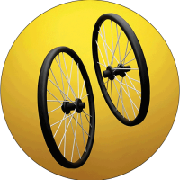 Капли и Шини