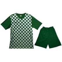Екип за футбол, волейбол, хандбал, тениска с шорти, зелен с бяло